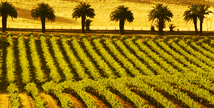 Thumbnail for Joining the world’s A-list