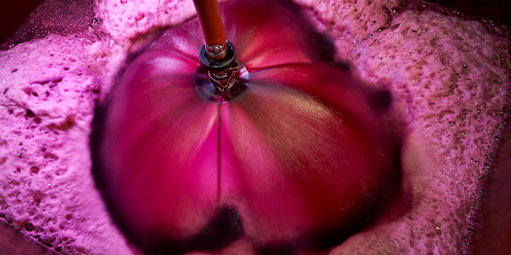 Pumping over Oliver's Old Block McLaren Vale Shiraz. Photo: Milton Wordley