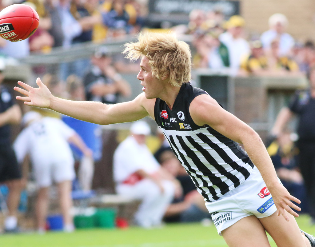 Port's Sam Colqhoun. Image by Peter Argent
