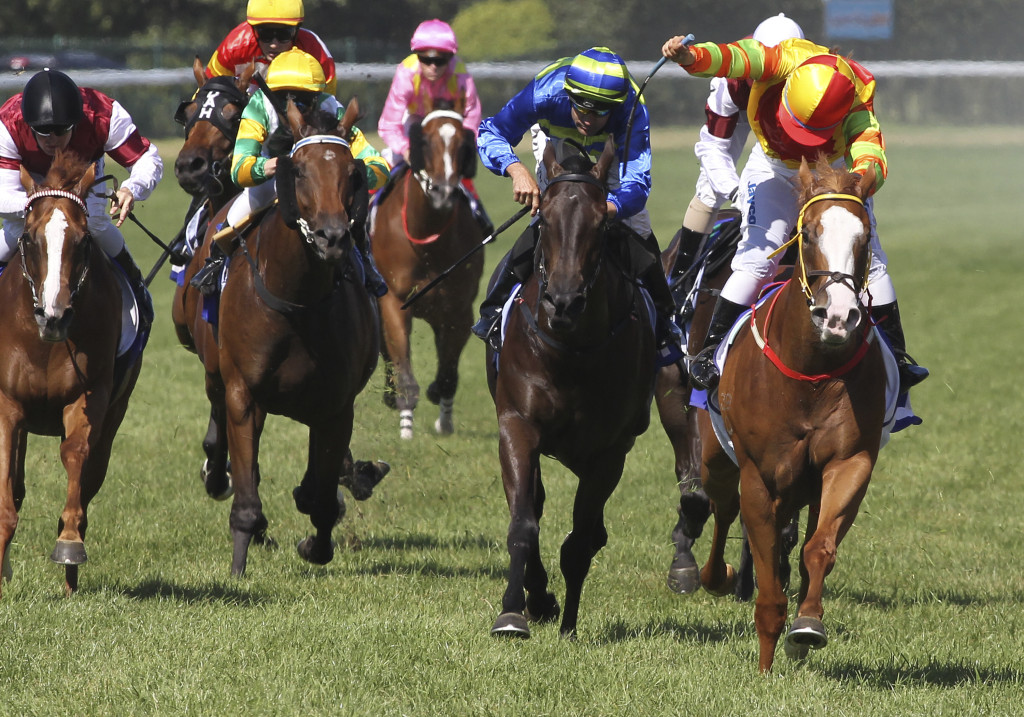 Thumbnail for Miracles a sentimental Goodwood favourite