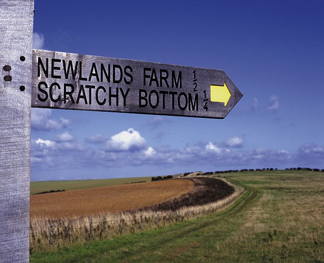 Thumbnail for Get on Scratchy Bottom