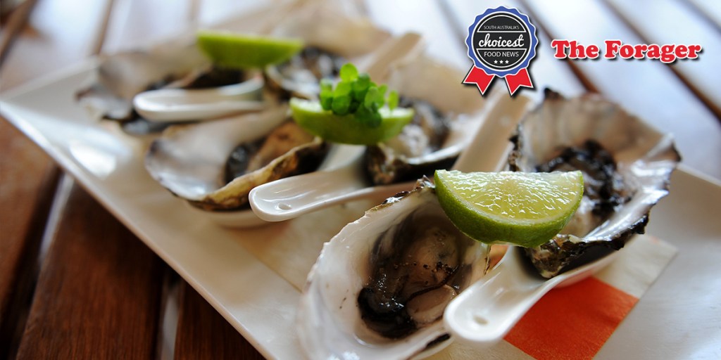 Thumbnail for The Forager: Chef’s return, oysters