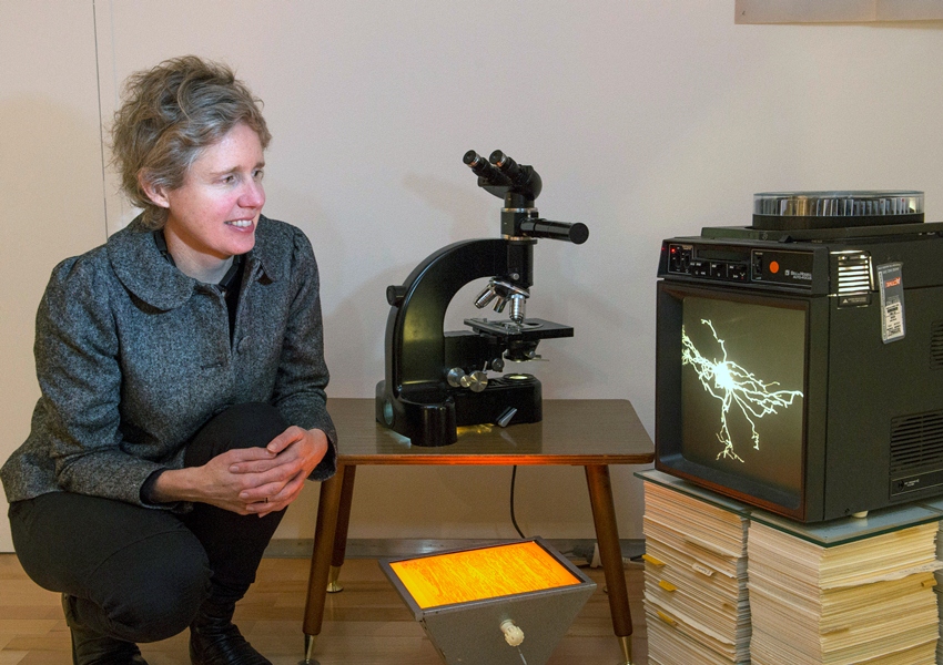 Thumbnail for Art gives scrapped microscopes a second life