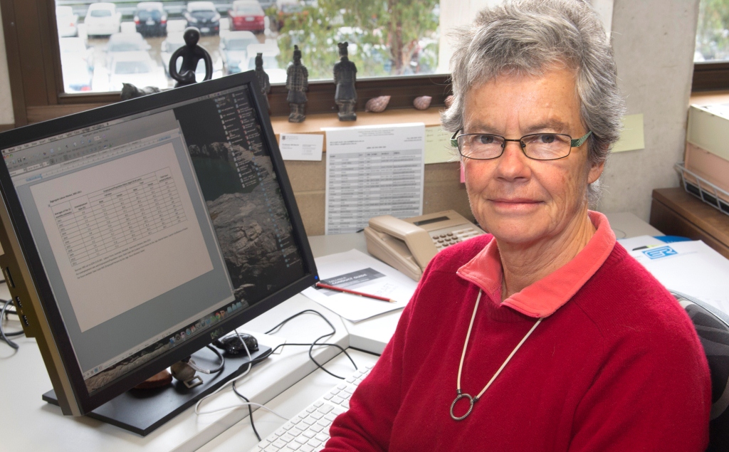 Professor Sue Richardson is one of Australia's top economists. She is concerned that Australia is copying the US and says economic gains in the US since the 1970s have all gone to the top.