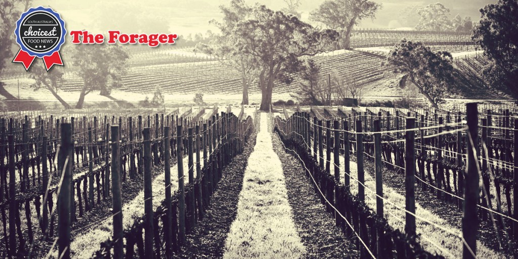 Thumbnail for The Forager: Winter warmers, zero waste