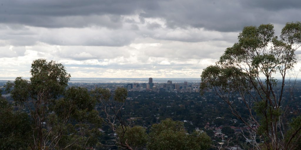 As the dark economic clouds gather, SA needs its critical thinkers.