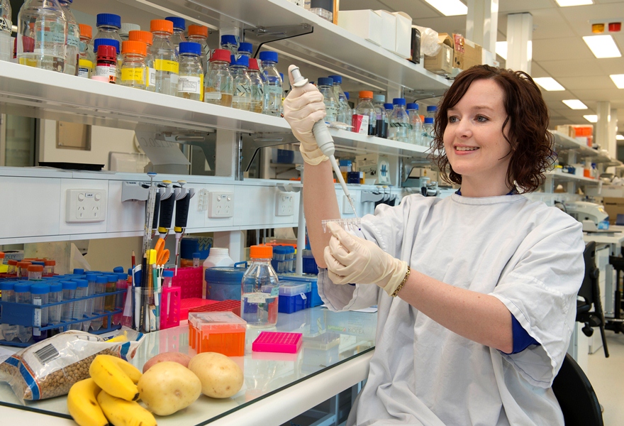 Thumbnail for Some starchy foods may reduce cancer risk