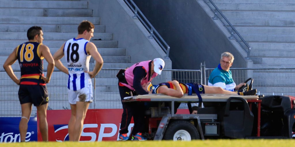 Down and out: Adelaide's Rory Laird leaves the field on a stretcher during Saturday's game. 