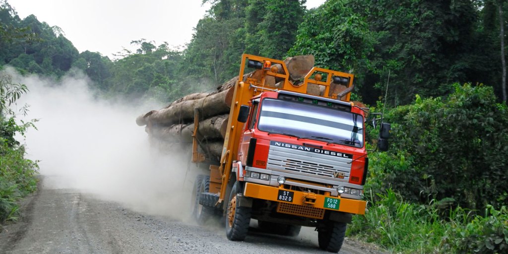 A truck carrying timber from a logging area near Malaysia's Danum Valley Conservation Area. 
