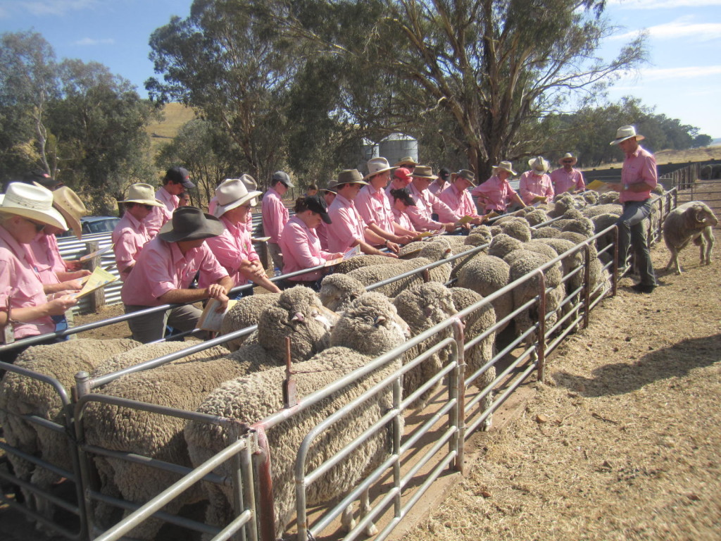 Elders trainees. The company has returned to its agribusiness heritage