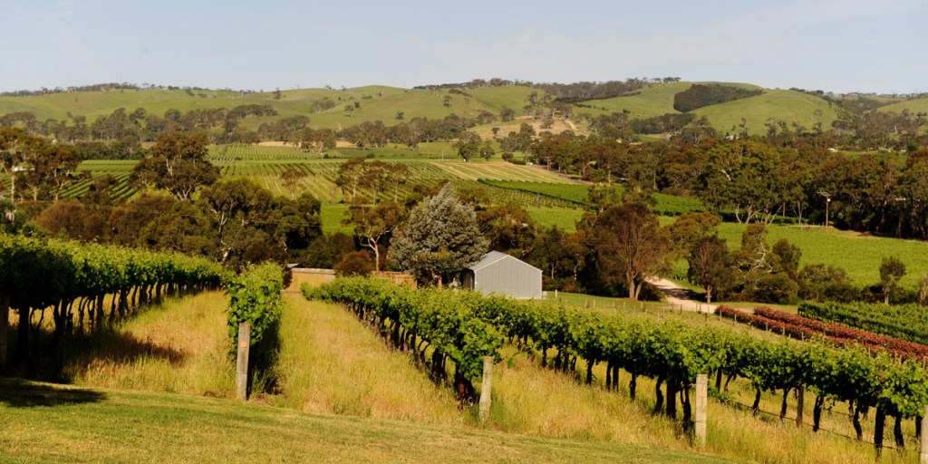 Thumbnail for Funding cut ‘will hurt wineries vital to tourism’