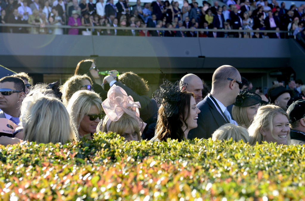 Thumbnail for A nod to Diggers at free Morphettville day