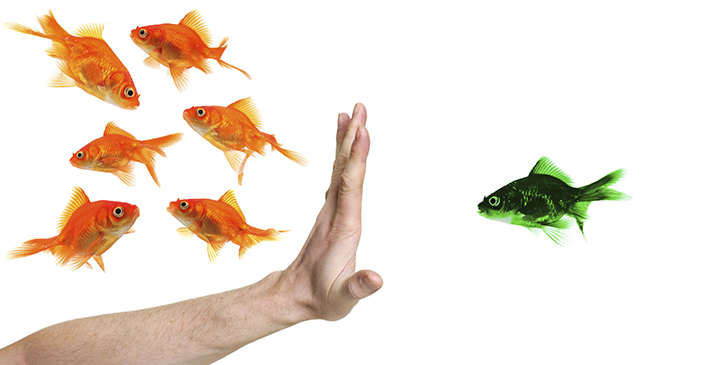 Thumbnail for The Great Debate