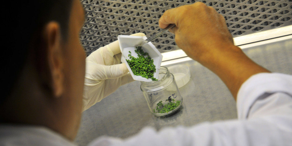 More than 10 per cent of the South Australian CSIRO workforce is set to be cut.