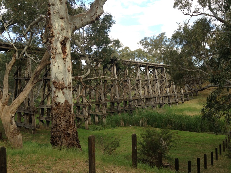 Gum trees with wooden railway bridge in Victoria.