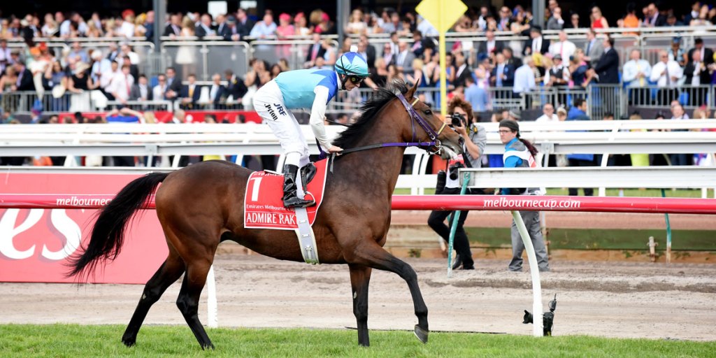 Admire Rakti finishes last in the Melbourne Cup. The Japanese stayer died shortly after.