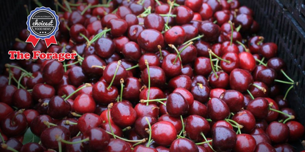 Thumbnail for The Forager: Cherries, beer & festive fare