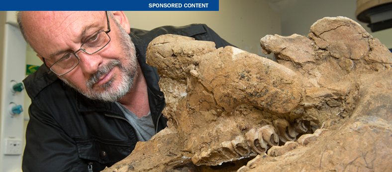 Thumbnail for Tim Flannery launches new Flinders palaeo labs