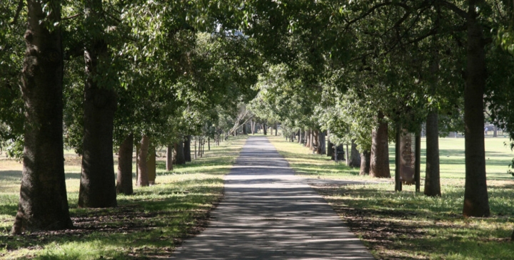 Timed dry zones will be trialled in the parklands over summer.