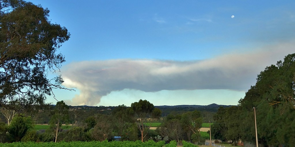 Smoke from the Adelaide bushfires, as seen from Kangarilla on Friday. Photo: Philip White
