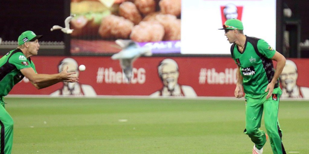 Stars captain Cameron White picks up a catch during the super over after Kevin Pietersen spilled it. 