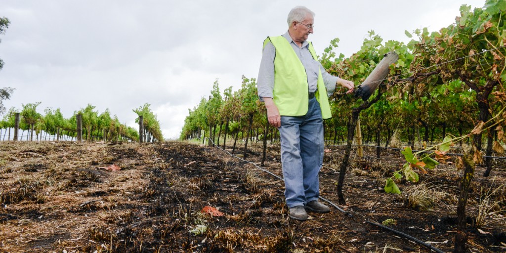 Thumbnail for Strong and stoic: surviving the devastation