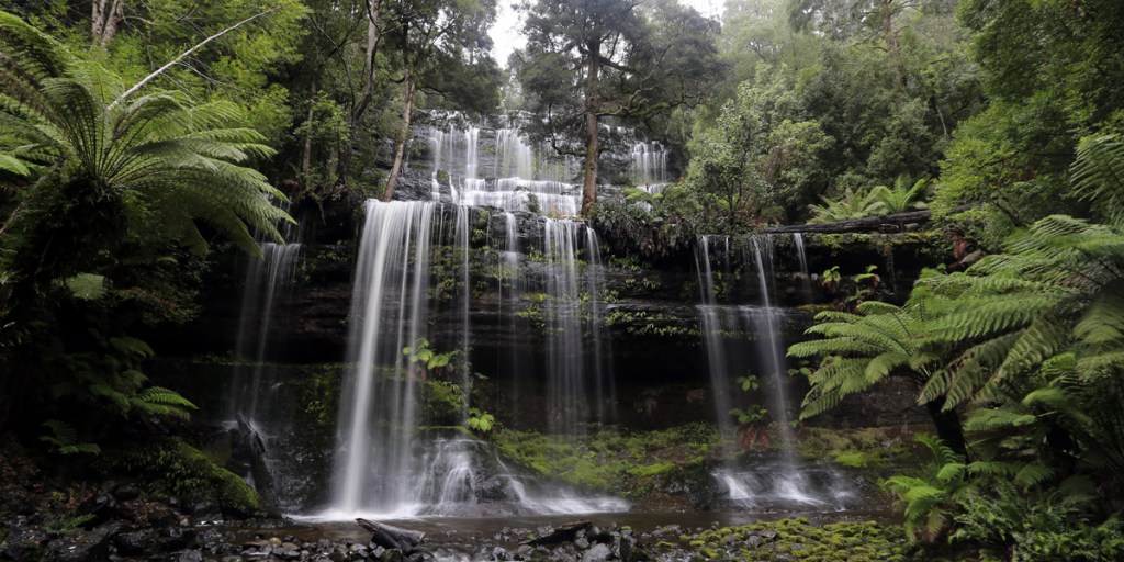 A waterfall in World Heritage forest in Mt Field National Park, Tasmania. Photo: EPA