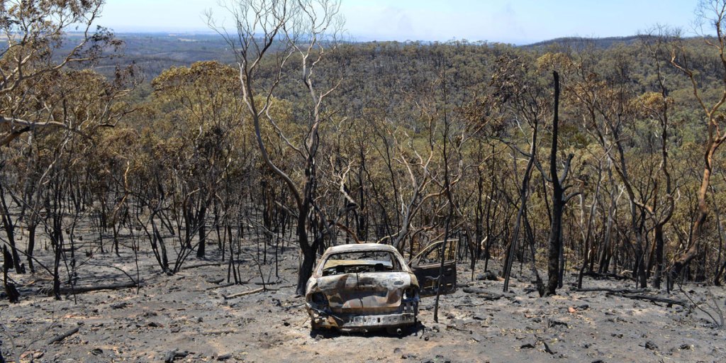 Burnt scrub near One Tree Hill.