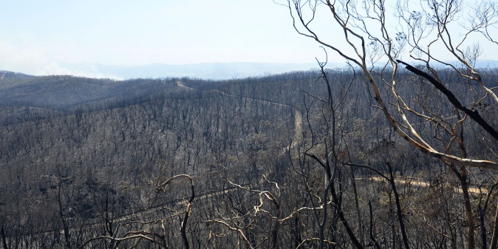 Thumbnail for Severe bushfire risk for two SA districts