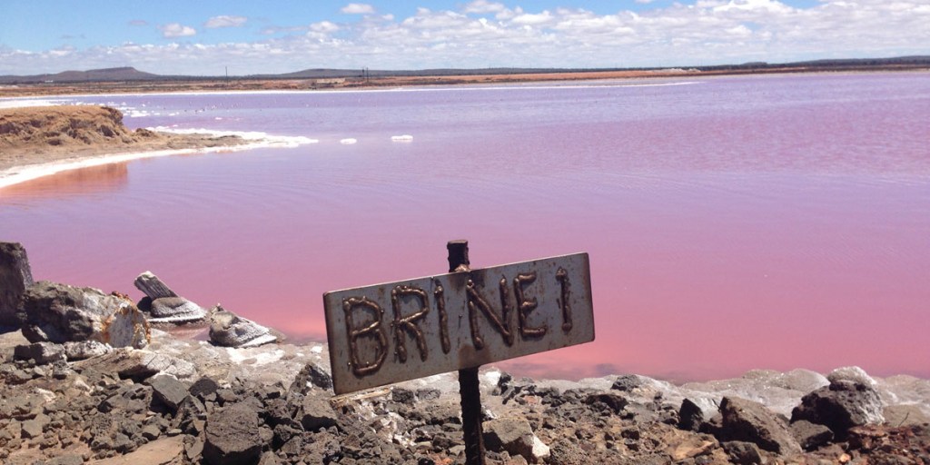 Thumbnail for Demand soars for SA’s gourmet salt