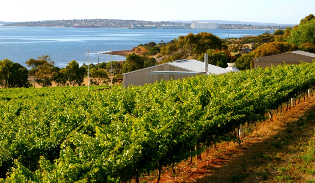 Thumbnail for My backyard: Eyre Peninsula