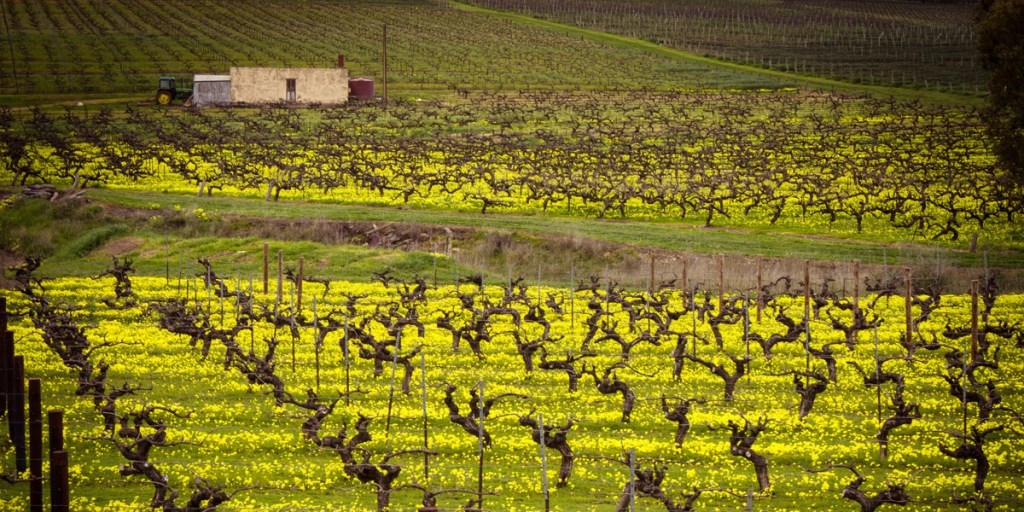 Thumbnail for A reminder of South Australia’s international appeal