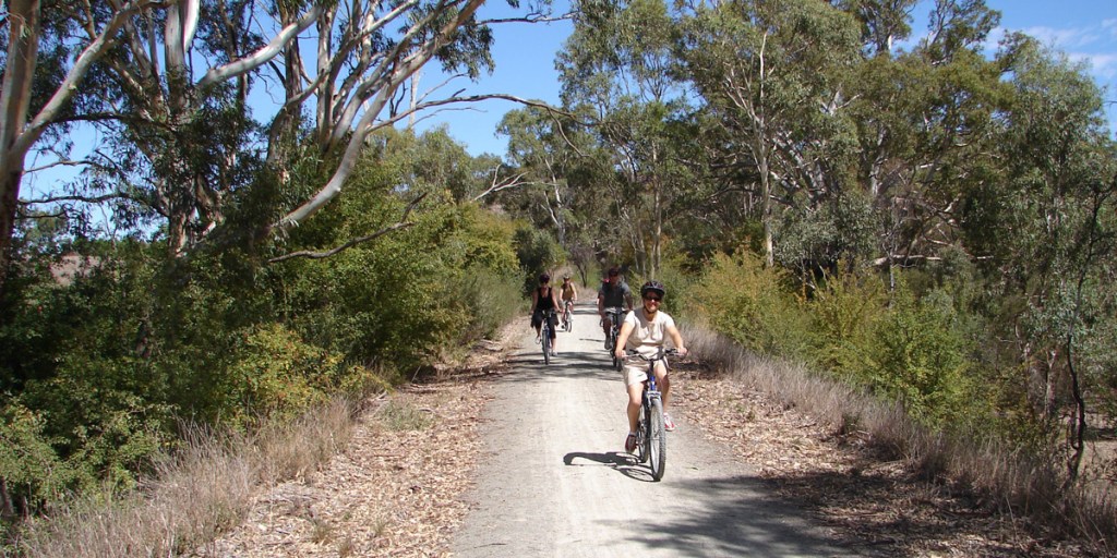Thumbnail for My Backyard: Clare Valley