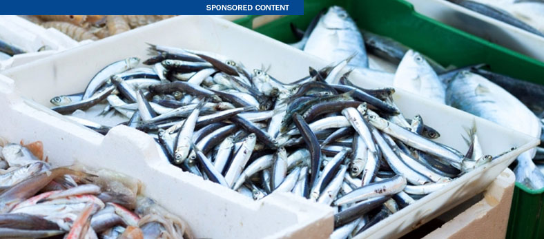 Thumbnail for Device aids fight against food poisoning from fish
