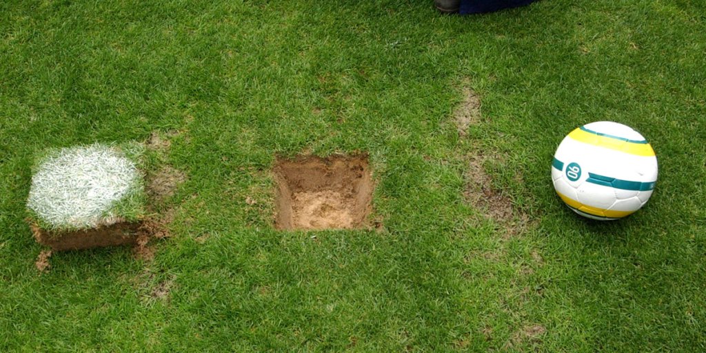 The piece of turf, from where John Aloisi kicked the famous winning penalty goal for the Socceroos to defeat Uruguay in 2005.