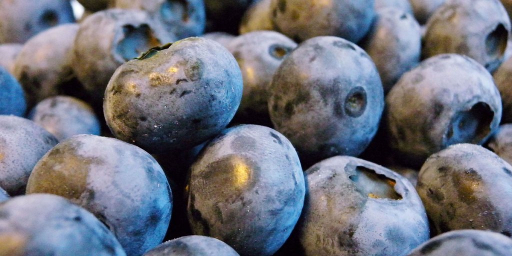 Thumbnail for More tests for suspect berries