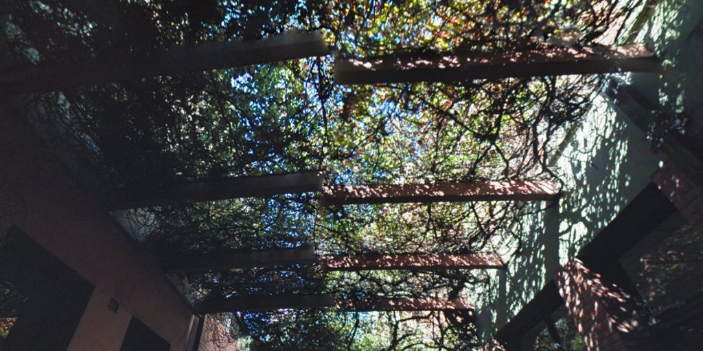 The grapevines last year. Photo: Google Streetview