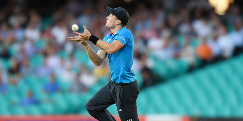 Chris Woakes catches Shane Watson during the recent Tri-Series.