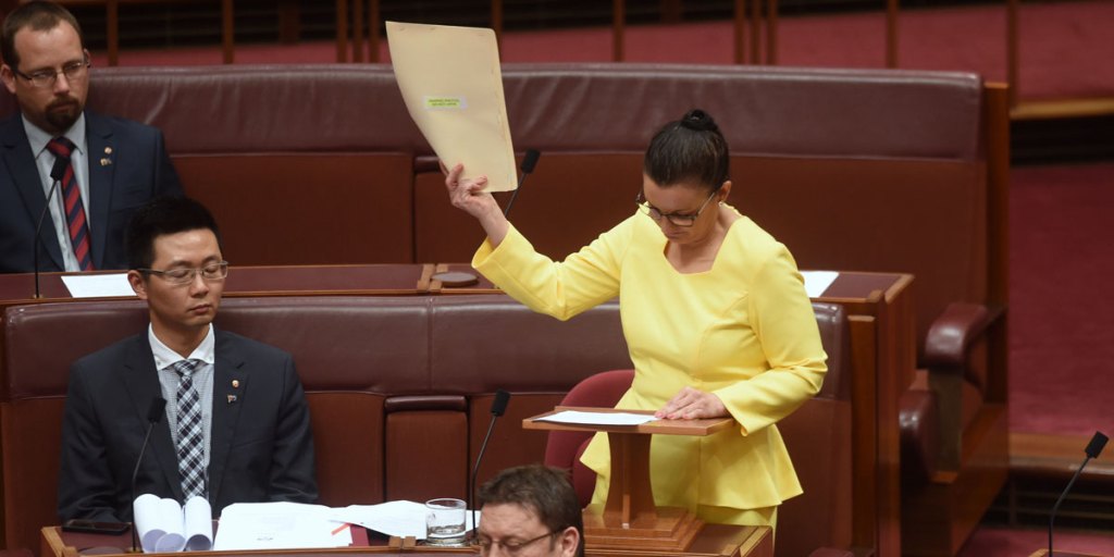 Jacqui Lambie and other crossbenchers in the Senate.
