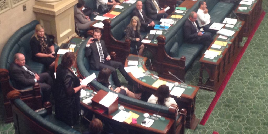 Nat Cook delivering her maiden speech, with Transport Minister Stephen Mullighan capturing the moment.