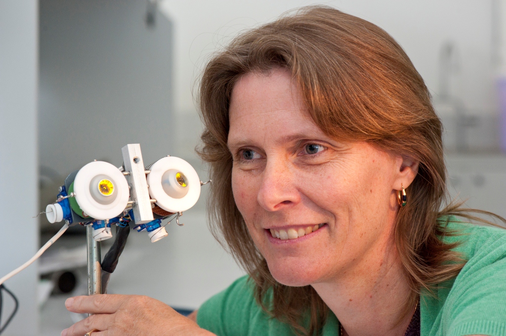 Thumbnail for Tonsley to bring new medical technology to the world