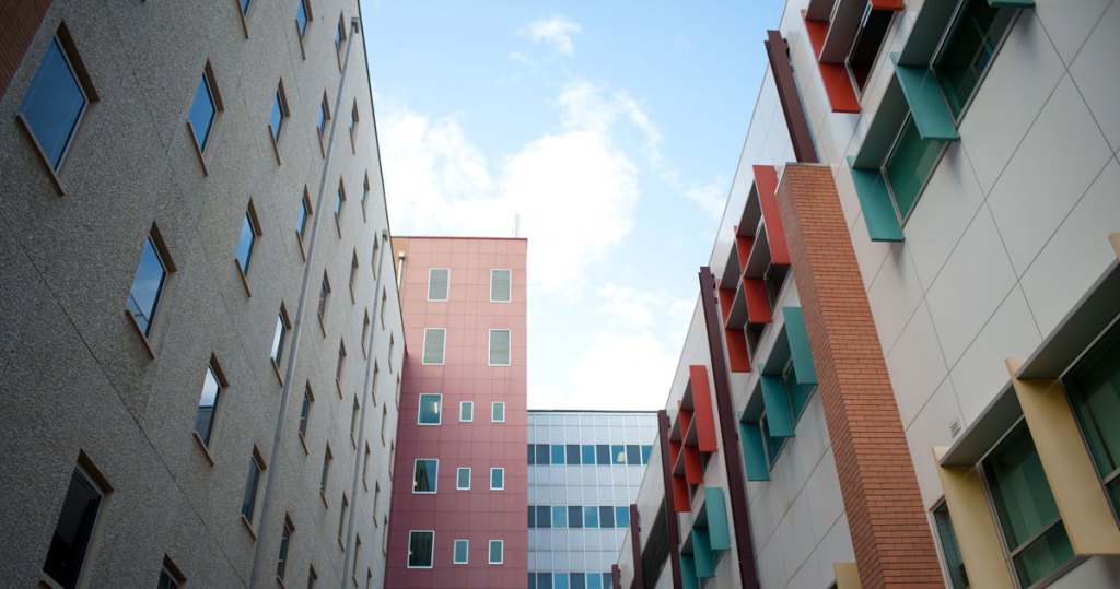 Buildings at the RAH site: Iain Evans imagines a new Parliament building rising here in time for the state's 200th year celebrations.