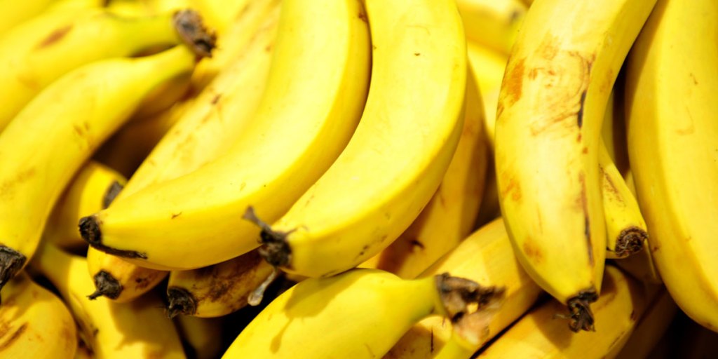 Thumbnail for 16,000 banana plants to be destroyed
