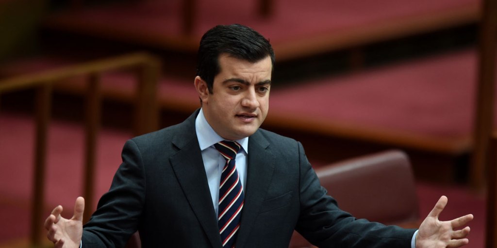 Labor senator Sam Dastyari