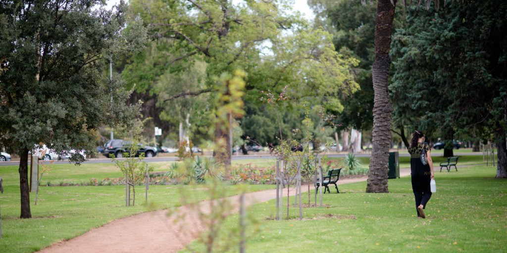 Thumbnail for A greener Adelaide needs more than parklands