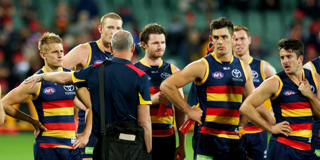 But boss - we won the groundball! Photo: Michael Errey/InDaily