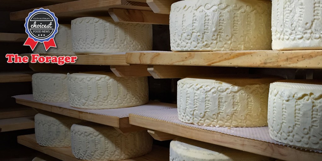 New Adelaide Hills cheese from Section 28. Photo: supplied 