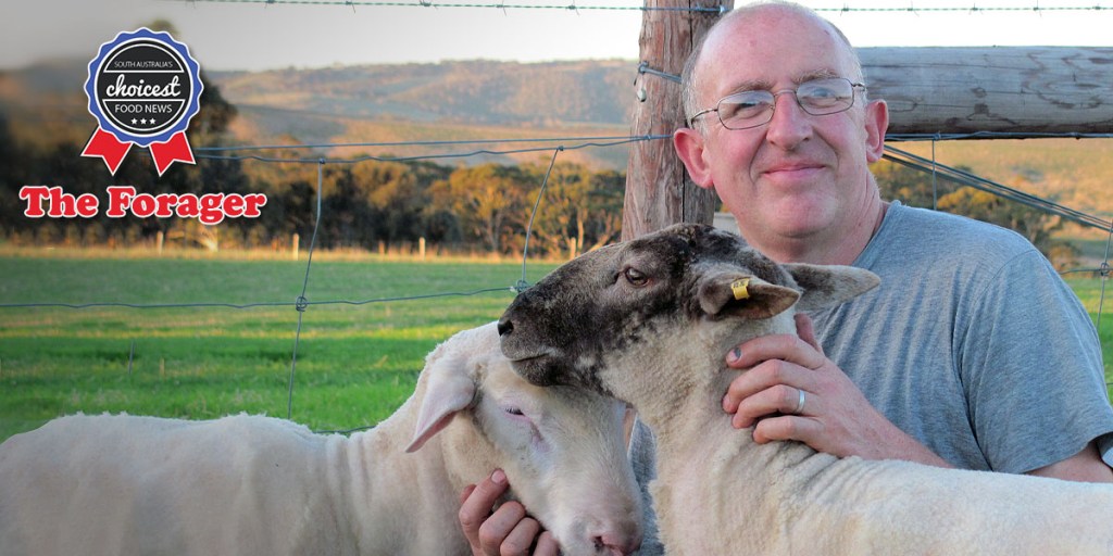 New cheese producer Tony Harding of Seavewe Artisan Sheep Dairy. Photo: supplied
