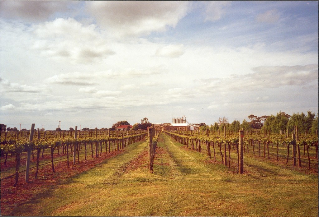 Thumbnail for Travelling inland on the Limestone Coast