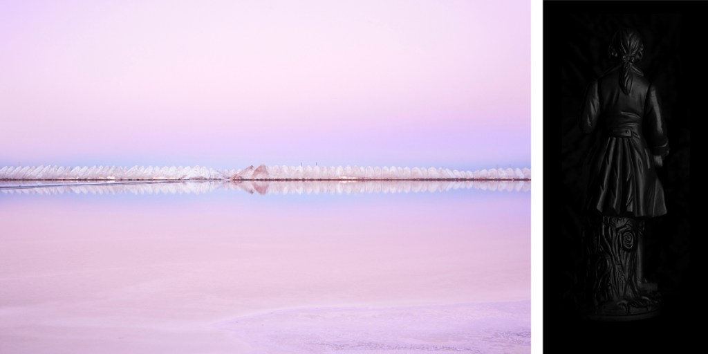 CJ Taylor, Salt (diptych), 2013